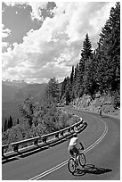 Bicyclists riding down Going-to-the-Sun road. Glacier National Park, Montana, USA. (black and white)
