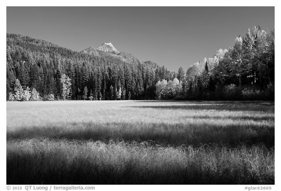 Shadows in autumn meadow. Glacier National Park (black and white)