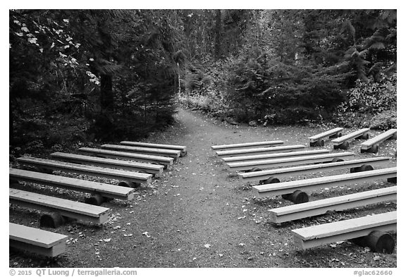 Amphitheater, Avalanche Creek Campground. Glacier National Park (black and white)