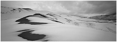 Dune field covered by snow. Great Sand Dunes National Park (Panoramic black and white)
