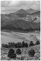 Sangre de Cristo mountains with aspen in fall foliage above dunes. Great Sand Dunes National Park, Colorado, USA. (black and white)
