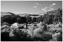 Pinyon Flats campground. Great Sand Dunes National Park and Preserve ( black and white)