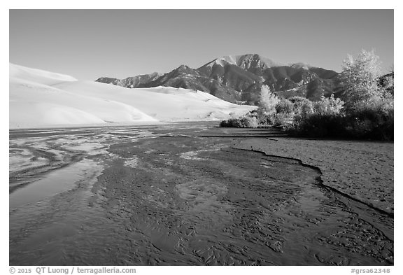 Medano Creek flowing, dunes, and trees in autumn foliage. Great Sand Dunes National Park and Preserve (black and white)