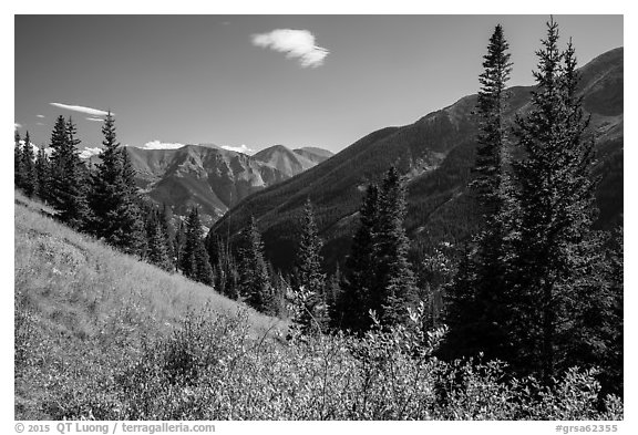 Sand Creek Valley. Great Sand Dunes National Park and Preserve (black and white)