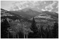 Mount Herard and autumn foliage at sunrise from Medano Pass. Great Sand Dunes National Park and Preserve ( black and white)