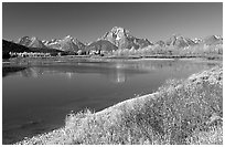Fall colors and reflections of Mt Moran and Teton range in Oxbow bend. Grand Teton National Park, Wyoming, USA. (black and white)