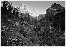 Meadow, wildflowers, and peaks at sunset. Grand Teton National Park, Wyoming, USA. (black and white)