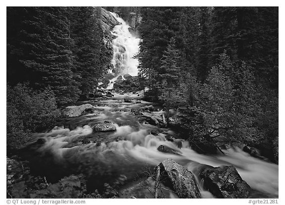 Hidden Falls, stream, and forest. Grand Teton National Park, Wyoming, USA.