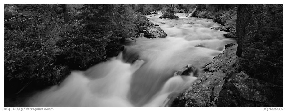 Creek flowing in forest. Grand Teton National Park (black and white)