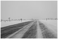 Road with snowdrift in winter. Grand Teton National Park ( black and white)