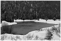 Snake River and forest covered hill in winter. Grand Teton National Park ( black and white)