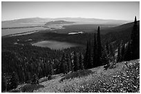 Bradley Lake and Taggart Lake from above. Grand Teton National Park ( black and white)