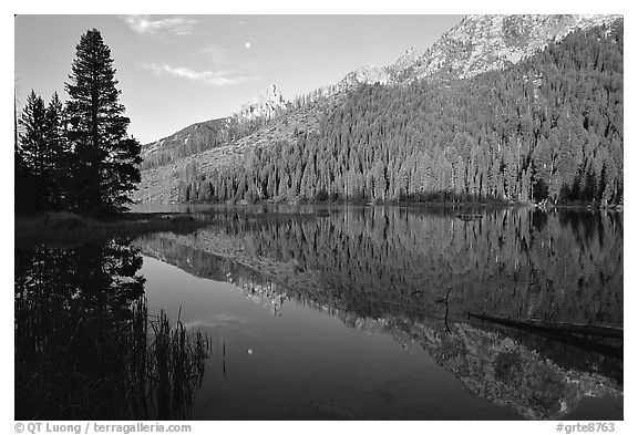 String Lake and Tetons, sunrise. Grand Teton National Park (black and white)
