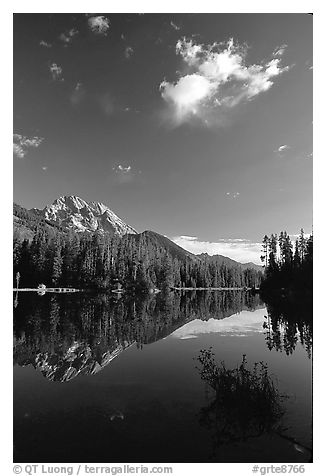 Mt Moran reflected in Leigh Lake, morning. Grand Teton National Park (black and white)