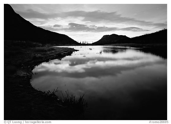 Pond with cloud reflection at sunrise, Horsehoe Park. Rocky Mountain National Park (black and white)