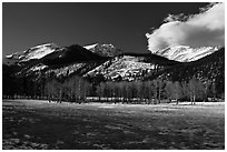 Aspens and mountains, West Horseshoe Park, winter. Rocky Mountain National Park, Colorado, USA. (black and white)