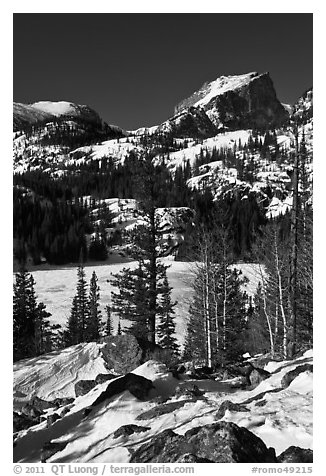 Bear Lake, winter morning. Rocky Mountain National Park (black and white)