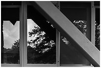 Foothills and trees, Beaver Meadows Visitor Center window reflexion. Rocky Mountain National Park, Colorado, USA. (black and white)