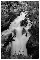 Adams Falls. Rocky Mountain National Park, Colorado, USA. (black and white)