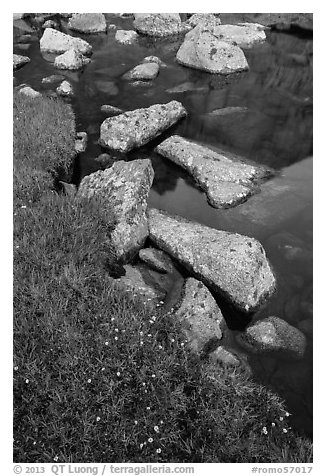 Alpine meadow and lake with boulders. Rocky Mountain National Park (black and white)