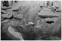 Longs Peak reflections in Chasm Lake. Rocky Mountain National Park, Colorado, USA. (black and white)