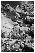 Columbine and cascades. Rocky Mountain National Park, Colorado, USA. (black and white)