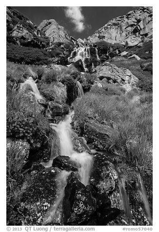 Alpine cascades. Rocky Mountain National Park (black and white)