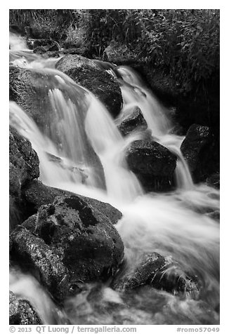 Stream cascading over rocks. Rocky Mountain National Park (black and white)