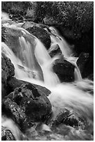 Stream cascading over rocks. Rocky Mountain National Park, Colorado, USA. (black and white)