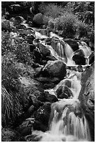 Cascading stream. Rocky Mountain National Park, Colorado, USA. (black and white)