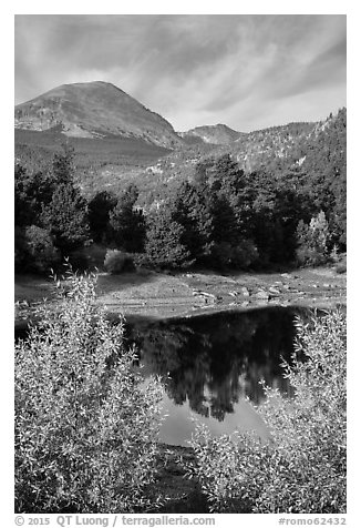 Copeland Lake in autumn. Rocky Mountain National Park (black and white)
