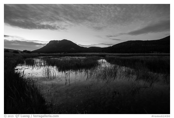 Sheep Lakes at dawn. Rocky Mountain National Park (black and white)