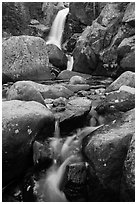 Cascade and Alberta Falls. Rocky Mountain National Park ( black and white)