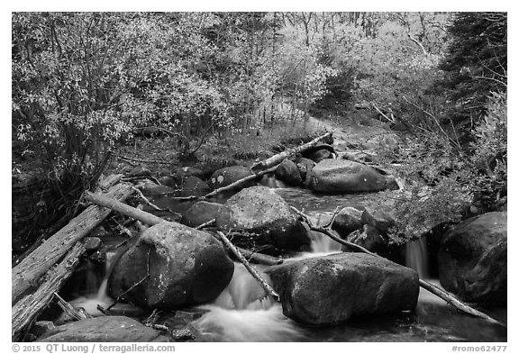 Stream above Alberta Falls in autumn. Rocky Mountain National Park (black and white)