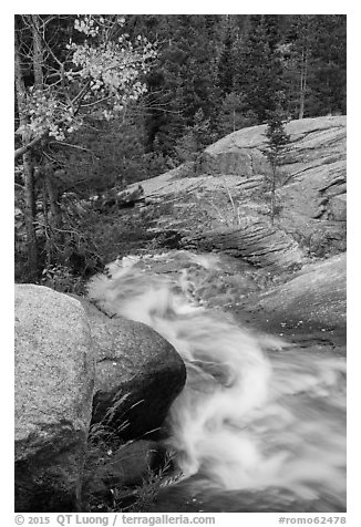 Brink of Alberta Falls. Rocky Mountain National Park (black and white)