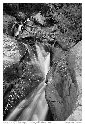 Cascades above Chasm Falls. Rocky Mountain National Park (black and white)