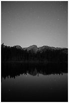 Starry sky above Sprague Lake. Rocky Mountain National Park ( black and white)