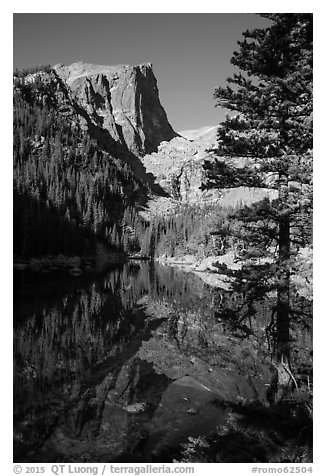 Hallet Peak and Dream Lake reflections. Rocky Mountain National Park (black and white)
