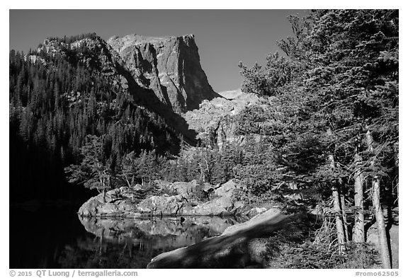 Hallet Peak rising above Dream Lake. Rocky Mountain National Park (black and white)