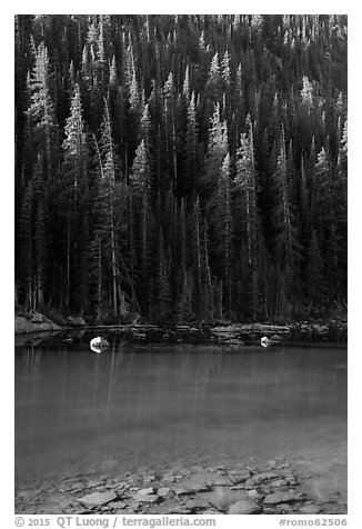 Boulders and forest on Dream Lake shore. Rocky Mountain National Park (black and white)
