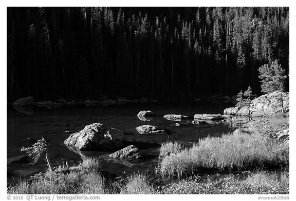 Grasses, boulders, lakeshore, Dream Lake. Rocky Mountain National Park (black and white)