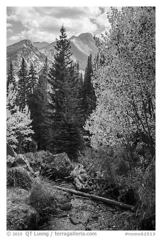 Stream, autumn foliage, and Longs Peak. Rocky Mountain National Park (black and white)