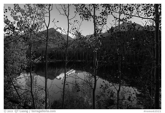 Bear Lakes and Longs Peak through trees with autumn leaves. Rocky Mountain National Park (black and white)