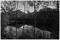 Bear Lakes and Longs Peak through trees with autumn leaves. Rocky Mountain National Park ( black and white)