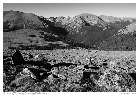 Boulders and Forest Canyon. Rocky Mountain National Park (black and white)