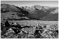 Boulders and Forest Canyon. Rocky Mountain National Park ( black and white)