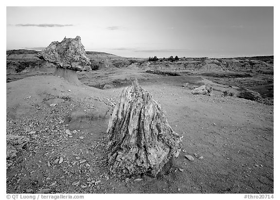Pedestal petrified log and petrified stump sunset,. Theodore Roosevelt  National Park (black and white)