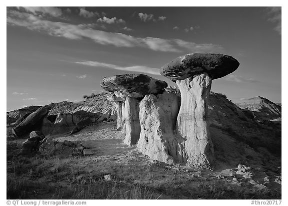 Caprock formations, late afternoon, Petrified Forest Plateau. Theodore Roosevelt National Park, North Dakota, USA.