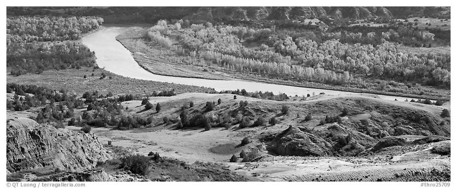 River, badlands, and aspens in the fall. Theodore Roosevelt National Park (black and white)