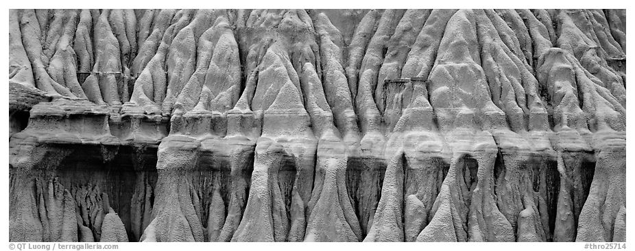 Eroded mudstone. Theodore Roosevelt  National Park (black and white)